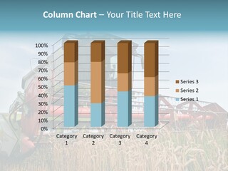Plant Rye Cereal PowerPoint Template
