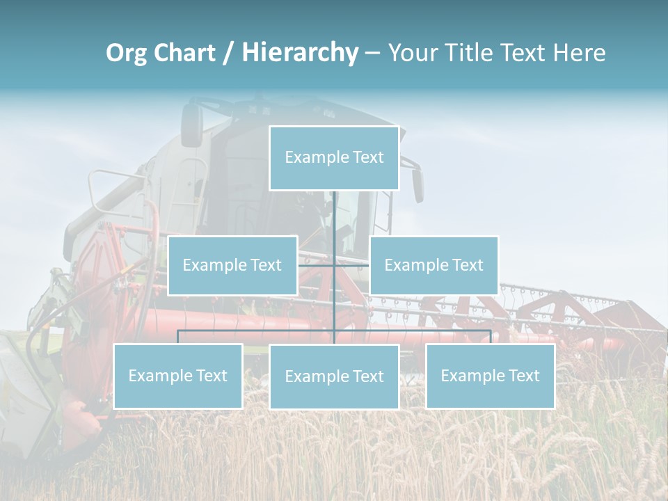 Plant Rye Cereal PowerPoint Template