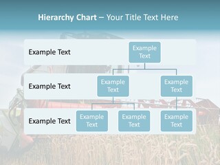 Plant Rye Cereal PowerPoint Template