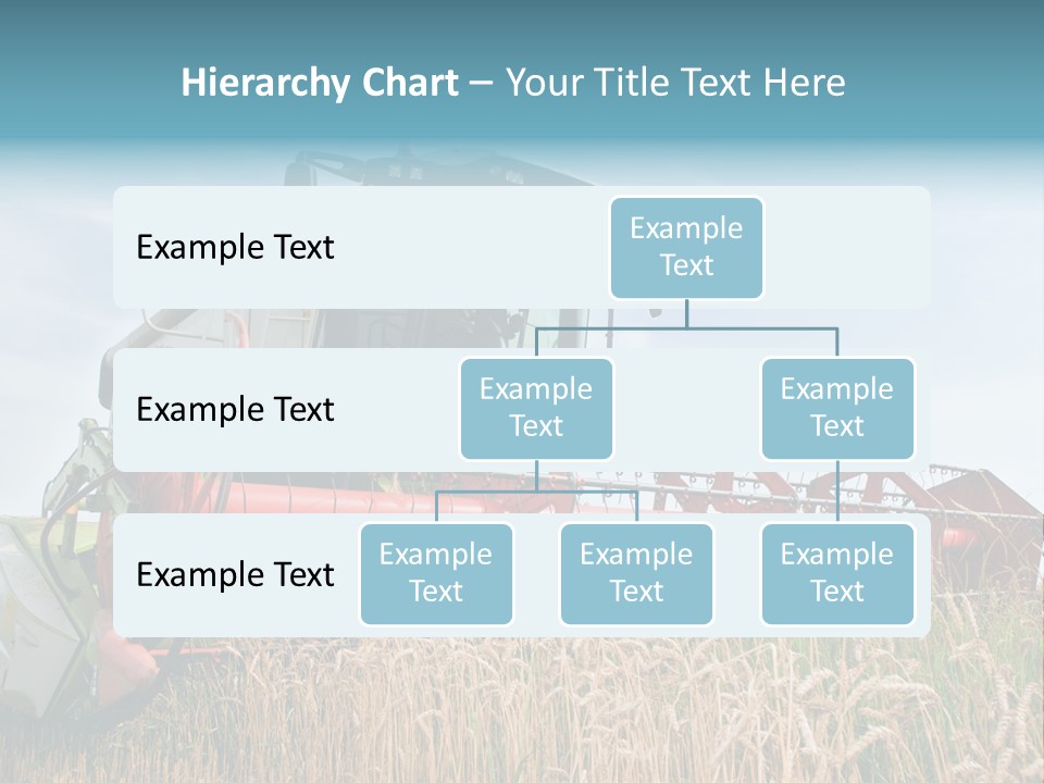 Plant Rye Cereal PowerPoint Template