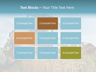 Plant Rye Cereal PowerPoint Template