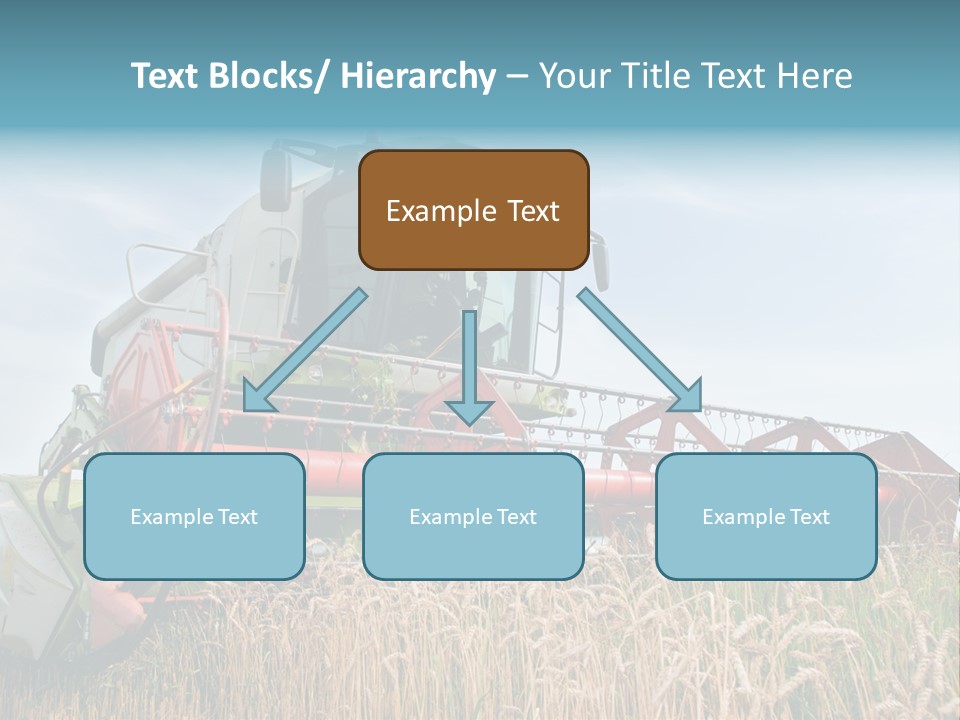 Plant Rye Cereal PowerPoint Template