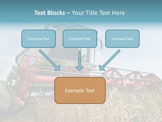 Plant Rye Cereal PowerPoint Template