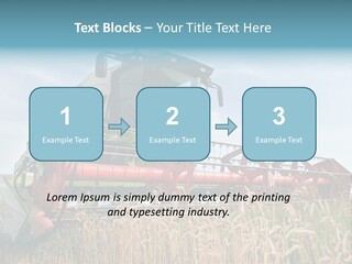 Plant Rye Cereal PowerPoint Template