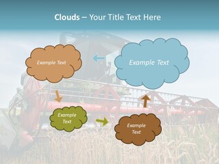 Plant Rye Cereal PowerPoint Template