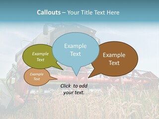 Plant Rye Cereal PowerPoint Template