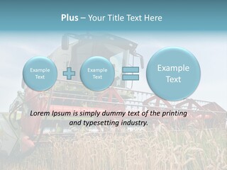 Plant Rye Cereal PowerPoint Template