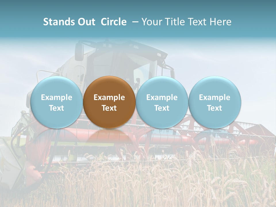 Plant Rye Cereal PowerPoint Template