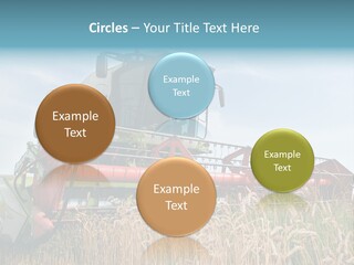 Plant Rye Cereal PowerPoint Template