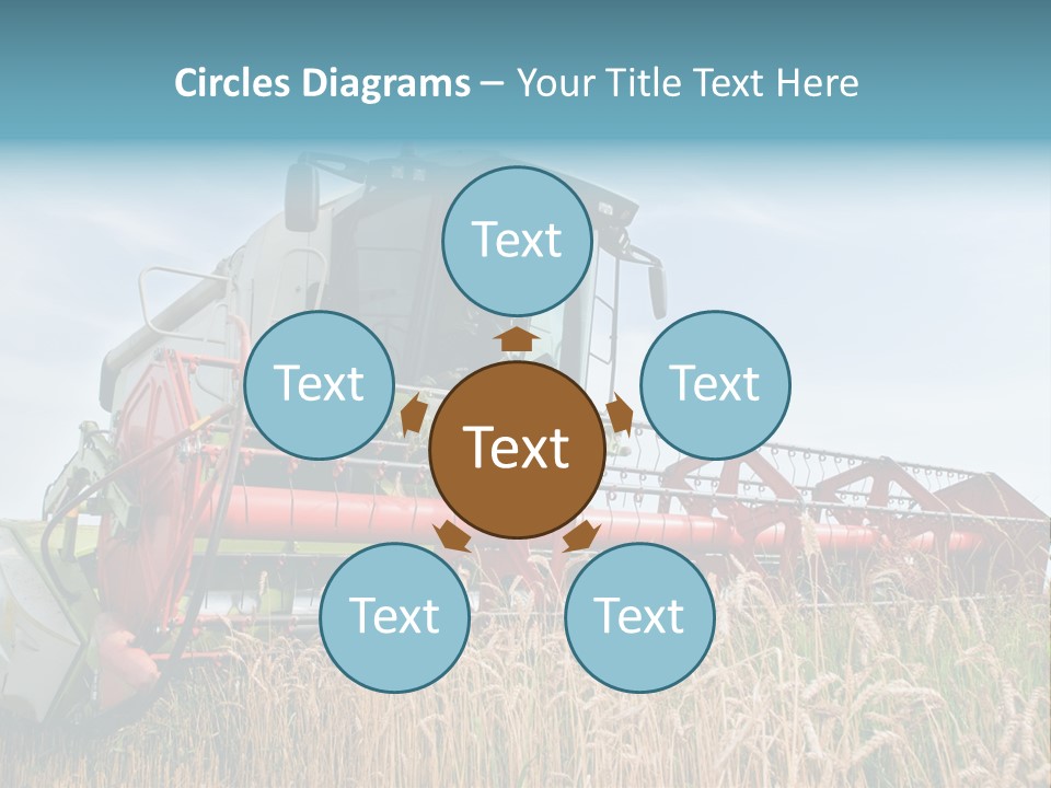 Plant Rye Cereal PowerPoint Template