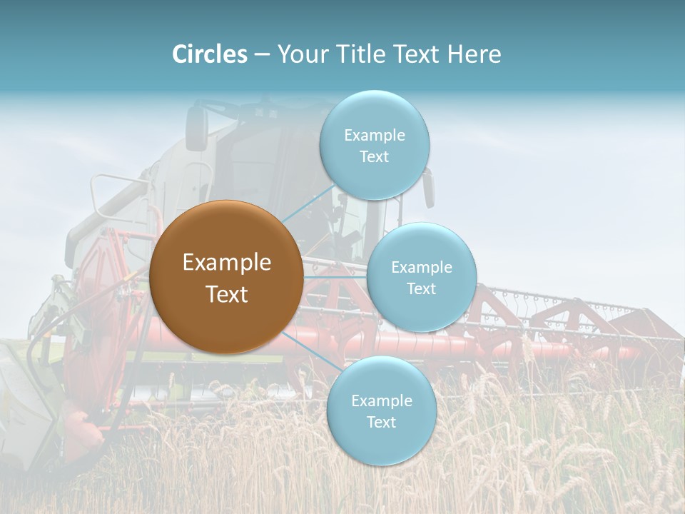 Plant Rye Cereal PowerPoint Template