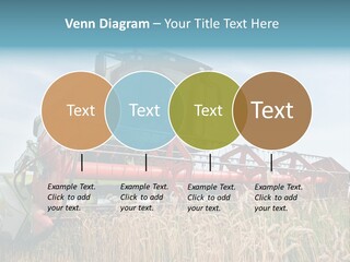 Plant Rye Cereal PowerPoint Template