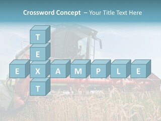 Plant Rye Cereal PowerPoint Template