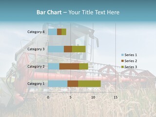Plant Rye Cereal PowerPoint Template