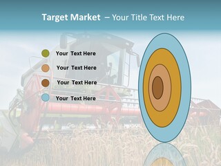 Plant Rye Cereal PowerPoint Template