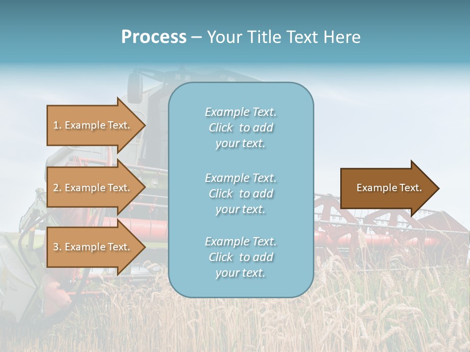 Plant Rye Cereal PowerPoint Template