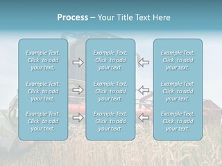 Plant Rye Cereal PowerPoint Template