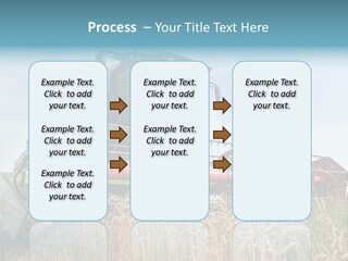 Plant Rye Cereal PowerPoint Template