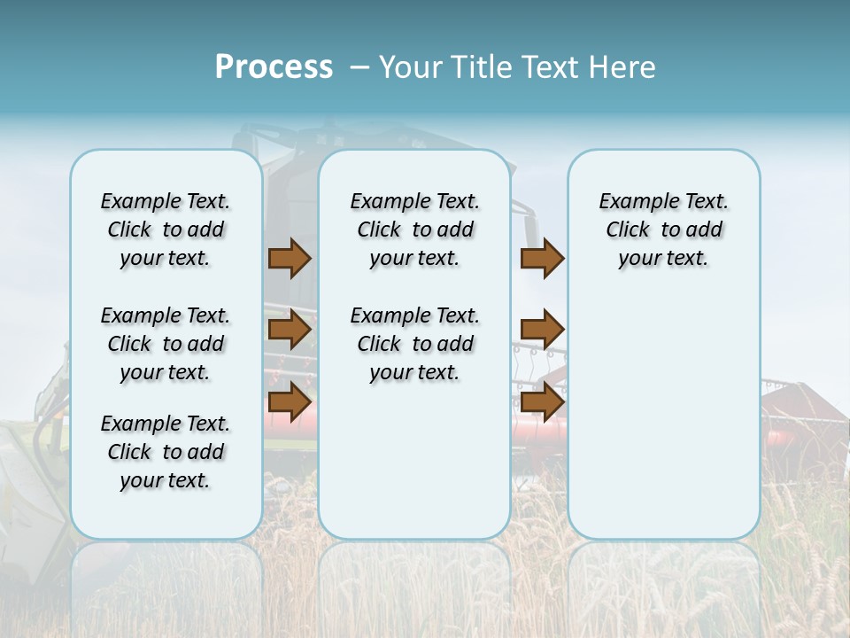 Plant Rye Cereal PowerPoint Template