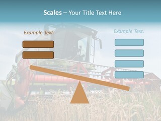 Plant Rye Cereal PowerPoint Template