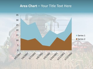 Plant Rye Cereal PowerPoint Template