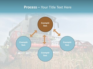 Plant Rye Cereal PowerPoint Template