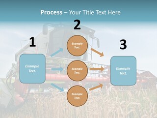 Plant Rye Cereal PowerPoint Template