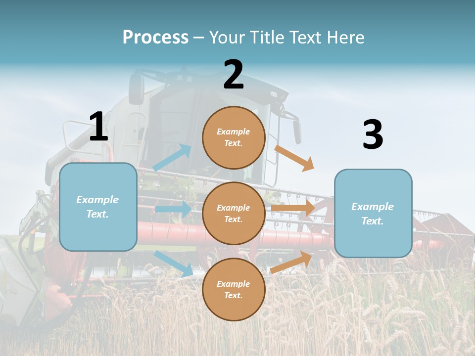 Plant Rye Cereal PowerPoint Template