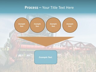 Plant Rye Cereal PowerPoint Template