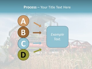 Plant Rye Cereal PowerPoint Template