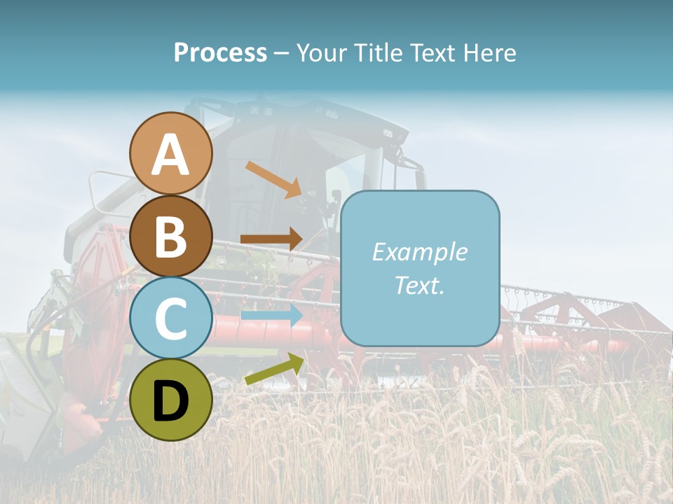 Plant Rye Cereal PowerPoint Template