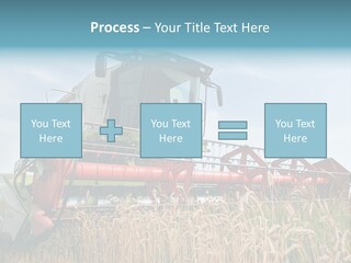 Plant Rye Cereal PowerPoint Template