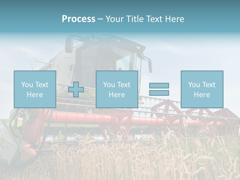 Plant Rye Cereal PowerPoint Template