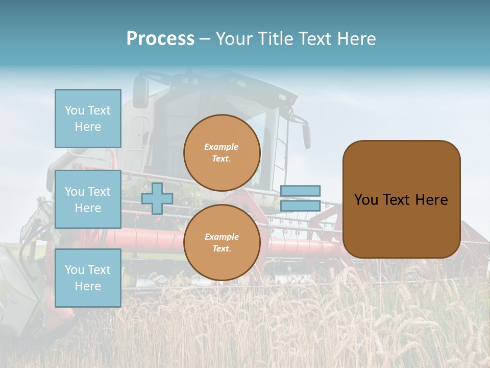 Plant Rye Cereal PowerPoint Template