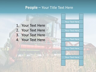 Plant Rye Cereal PowerPoint Template