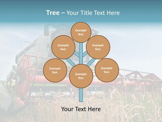Plant Rye Cereal PowerPoint Template