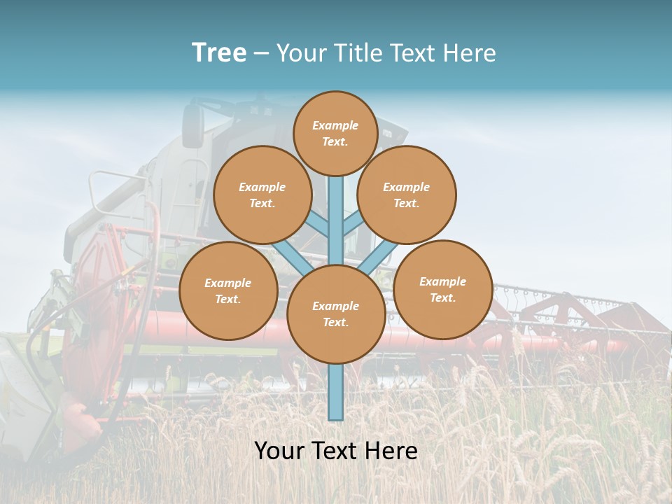Plant Rye Cereal PowerPoint Template