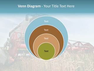 Plant Rye Cereal PowerPoint Template