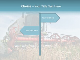 Plant Rye Cereal PowerPoint Template