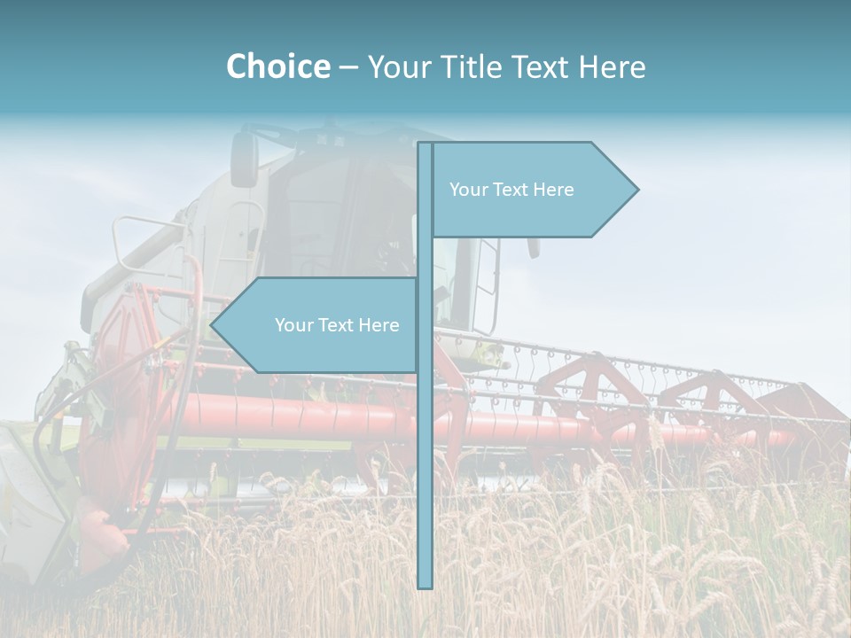 Plant Rye Cereal PowerPoint Template