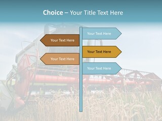 Plant Rye Cereal PowerPoint Template