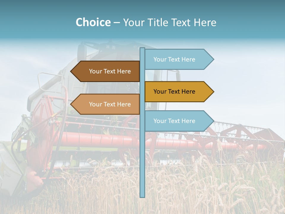 Plant Rye Cereal PowerPoint Template