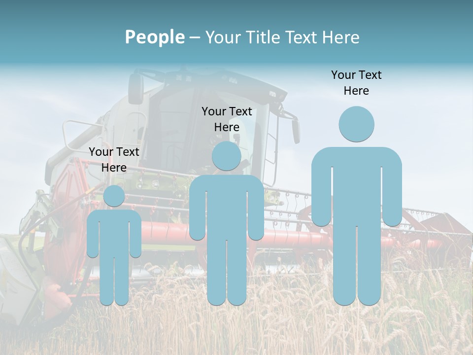 Plant Rye Cereal PowerPoint Template