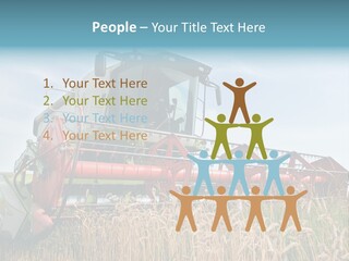 Plant Rye Cereal PowerPoint Template