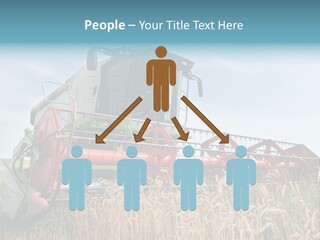 Plant Rye Cereal PowerPoint Template