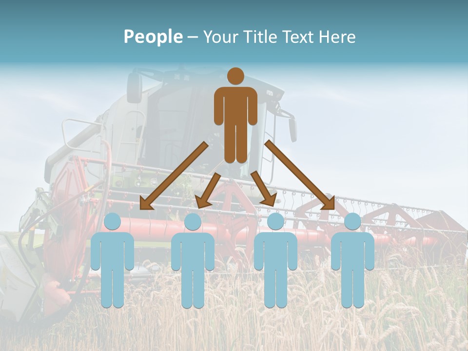 Plant Rye Cereal PowerPoint Template