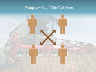 Plant Rye Cereal PowerPoint Template