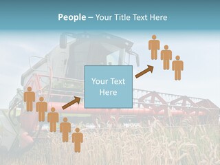 Plant Rye Cereal PowerPoint Template