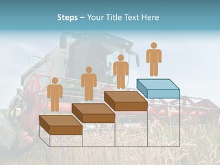 Plant Rye Cereal PowerPoint Template