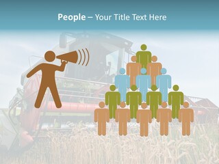 Plant Rye Cereal PowerPoint Template